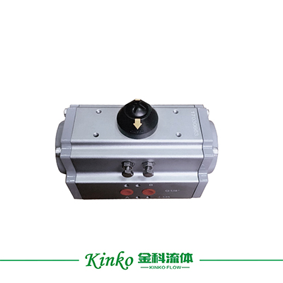 Pneumatic Actuator